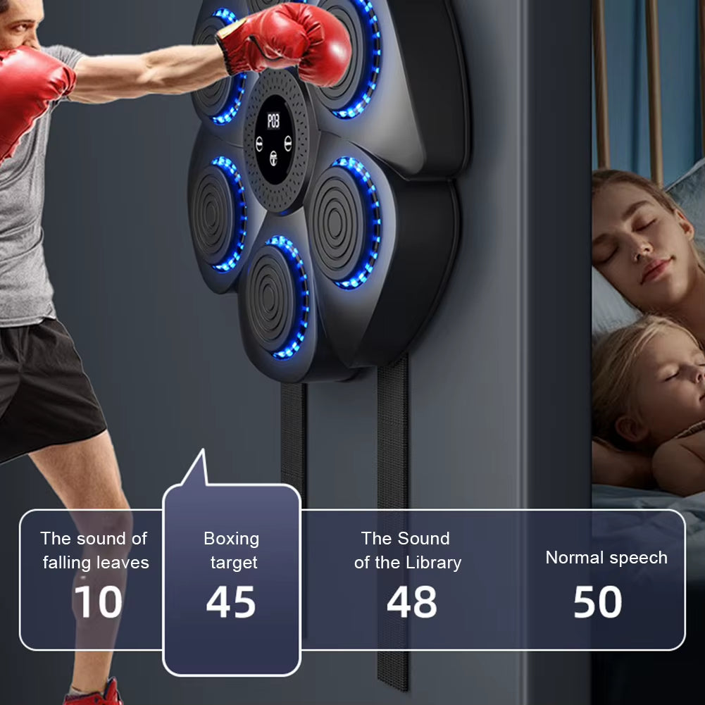 Wall Mounted Boxing Training