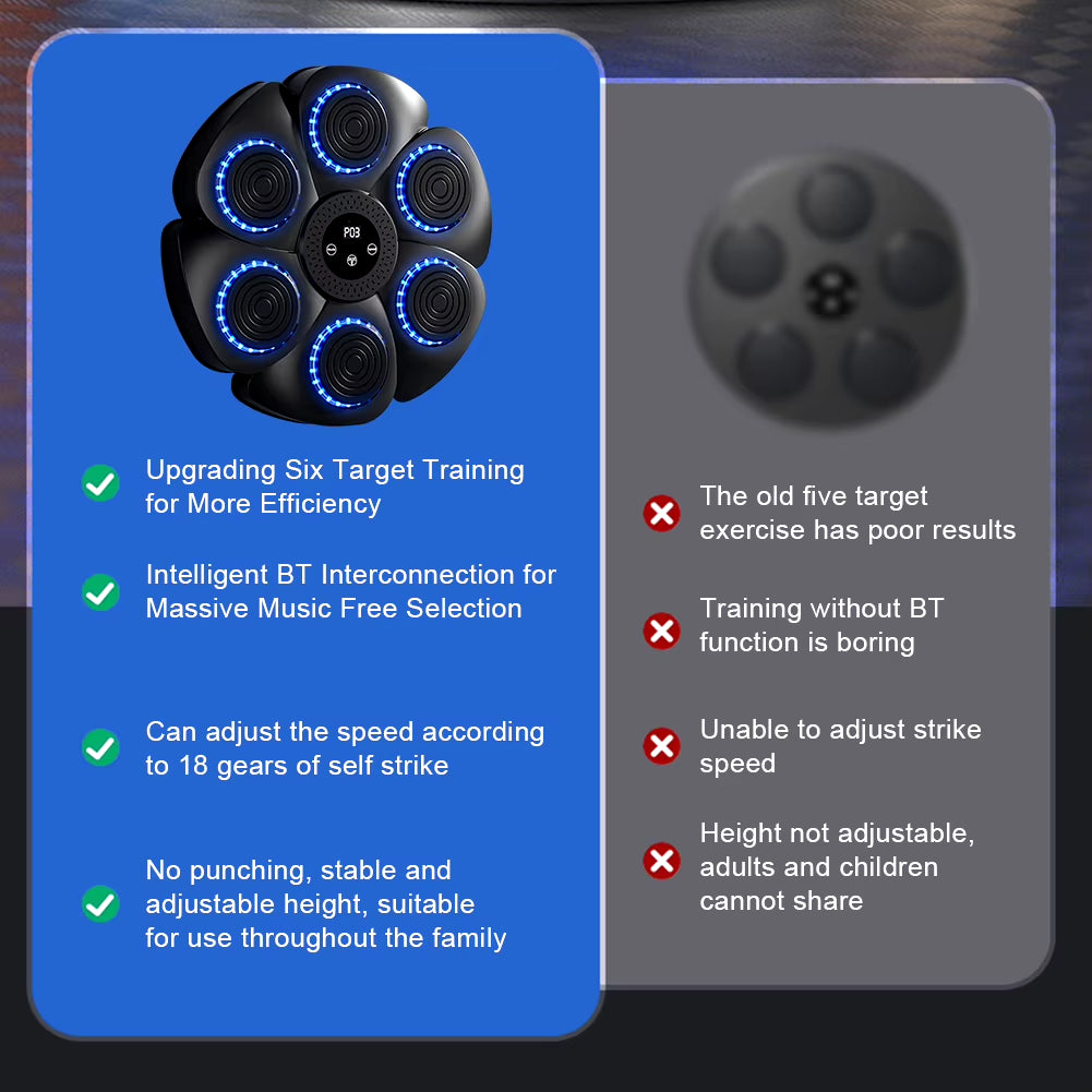 Wall Mounted Boxing Training