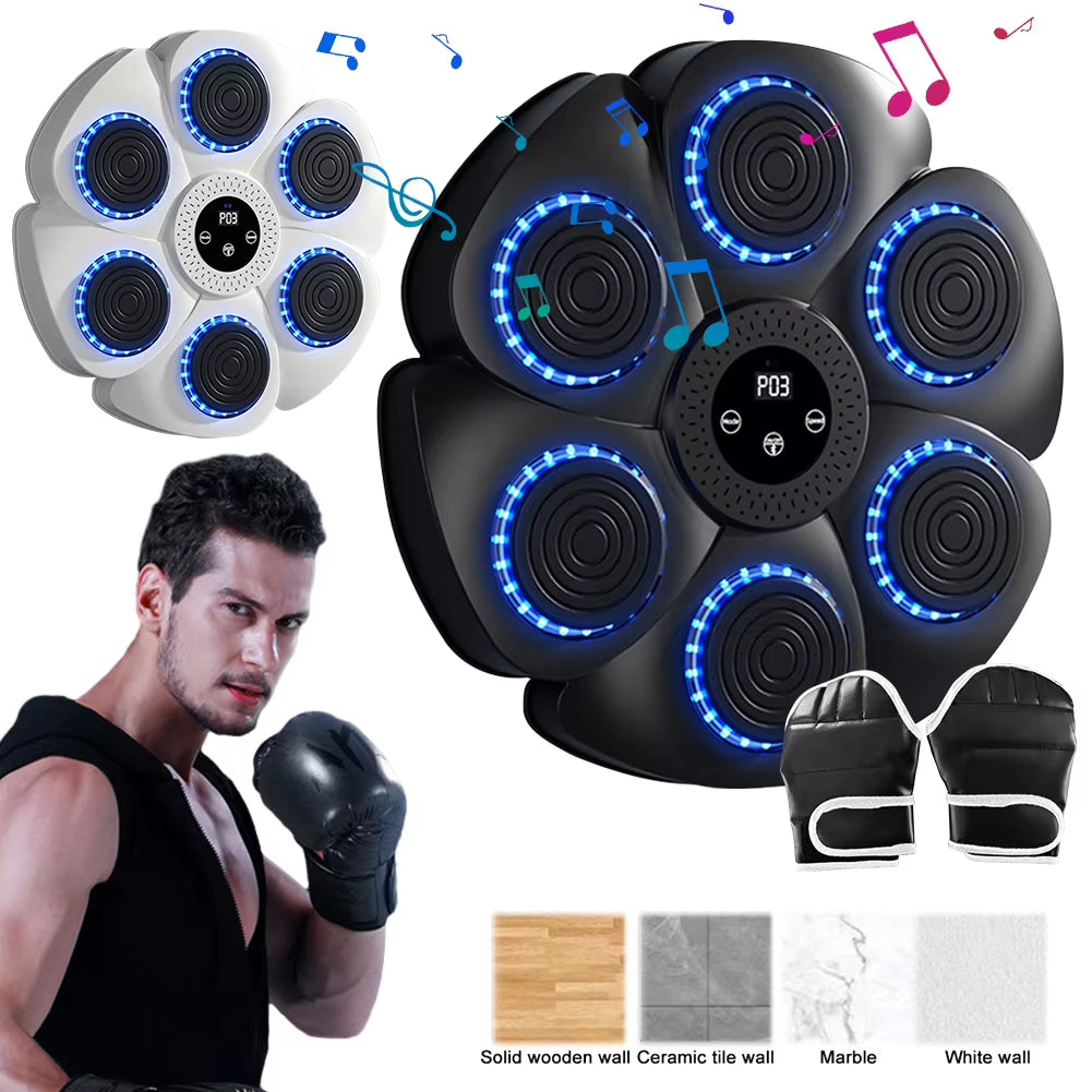 Wall Mounted Boxing Training