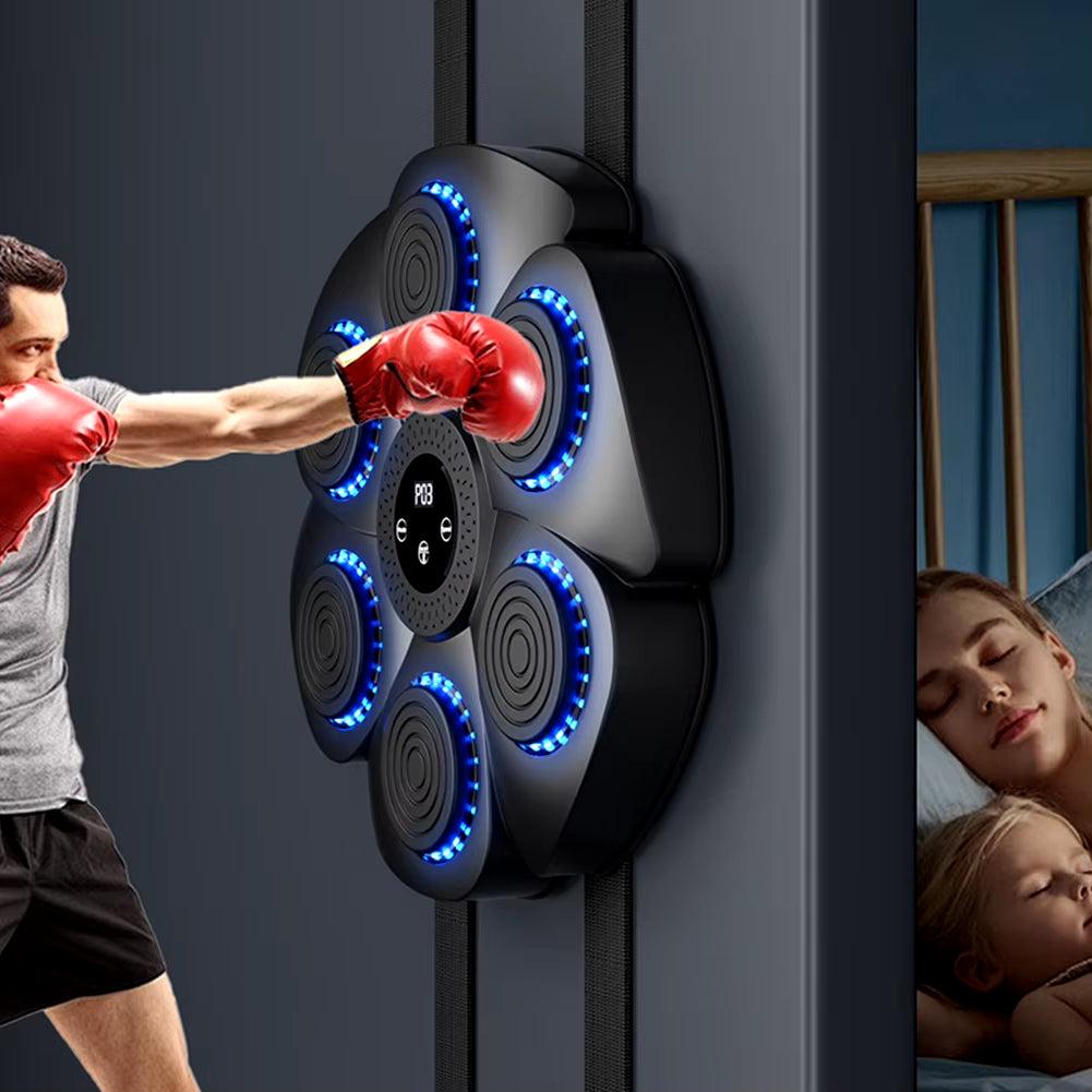 Wall Mounted Boxing Training