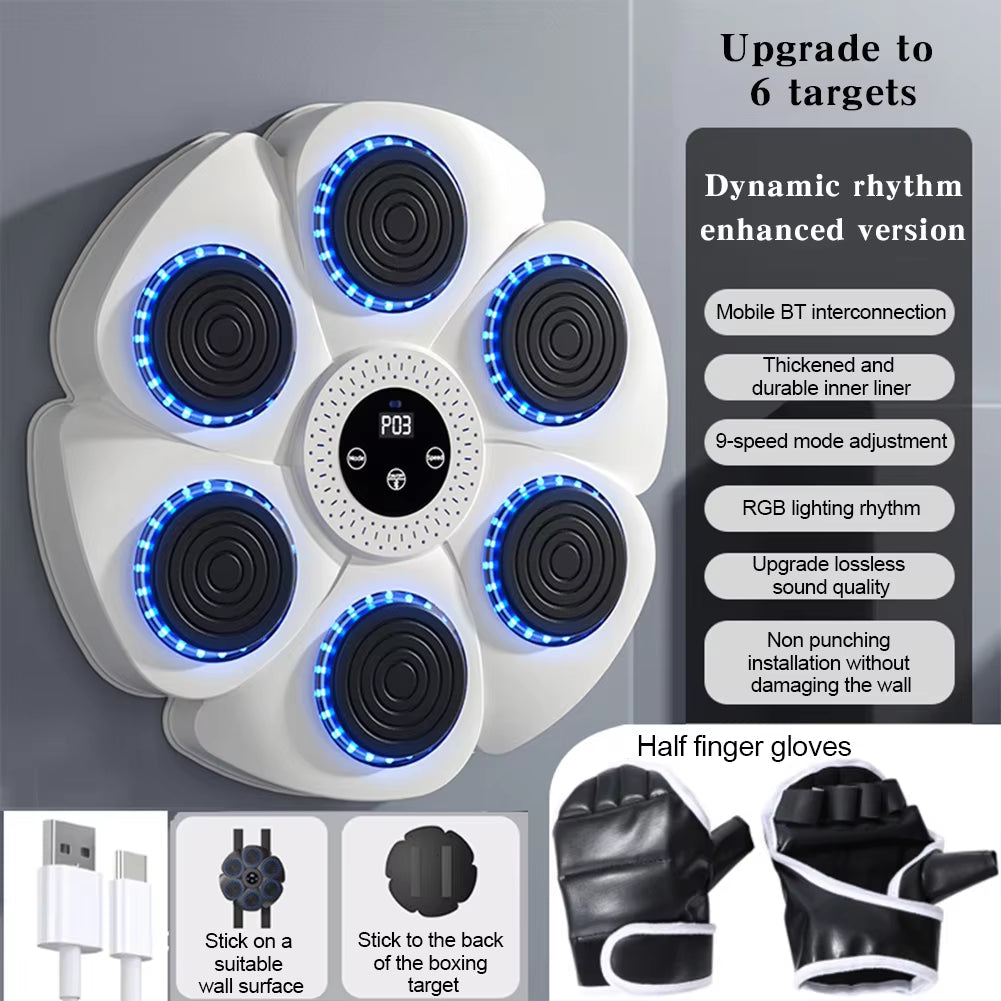 Wall Mounted Boxing Training