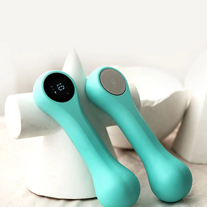 Intelligent Exercise Weights