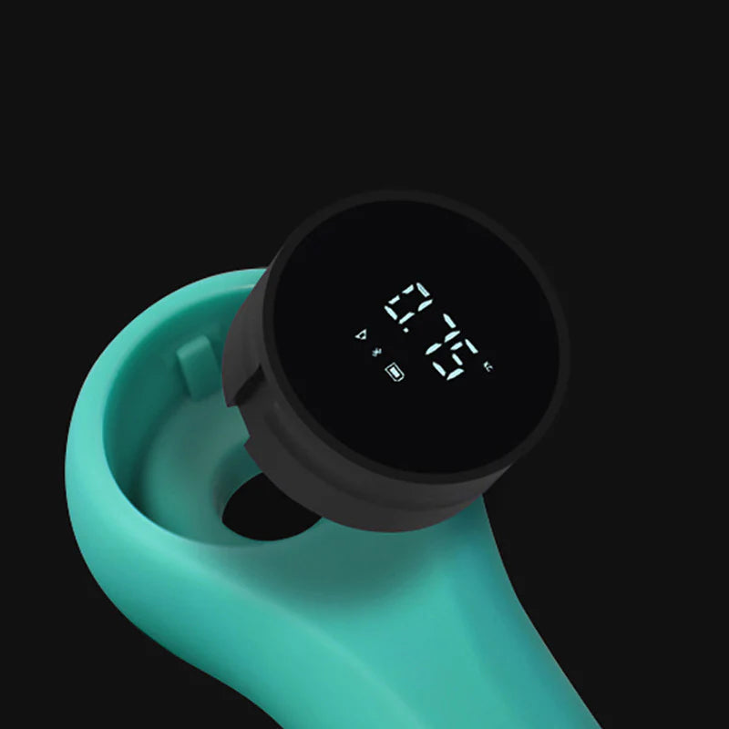 Intelligent Exercise Weights